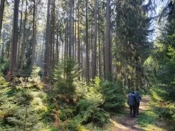 FJÄLLRÄVEN Kajka 75 - Trekkingrucksack -Camping Rabatte fjaellraeven kajka 75 trekkingrucksack 1c507515565e368a5f36dee585efcd24 1